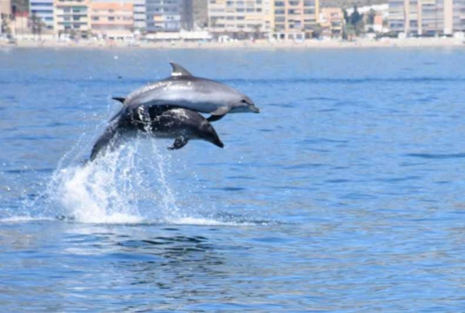 Primera Linea Del Mar - Acceso Directo Playa Carihuela Torremolinos Zewnętrze zdjęcie
